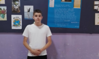 Slika